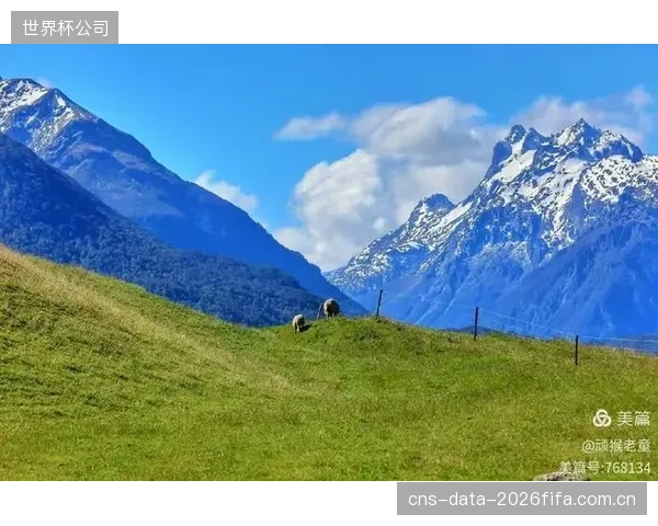 加莱诺伊首战需避免轻敌,利用整体实力优势压制新西兰。 加莱诺伊首战需避免轻敌,利用整体实力优势压制新西兰。